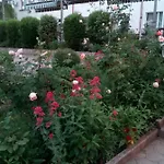 Hotel Paradise