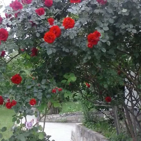 מלון Paradise Madzharovo
