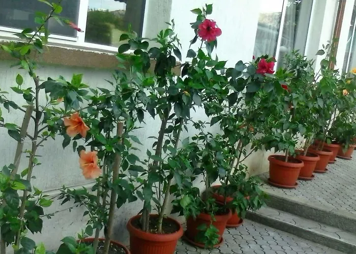 Hotel Paradise Madzharovo