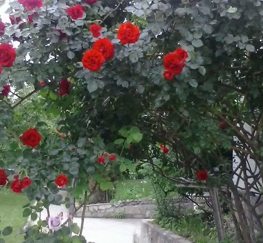 Hotel Paradise Madzharovo